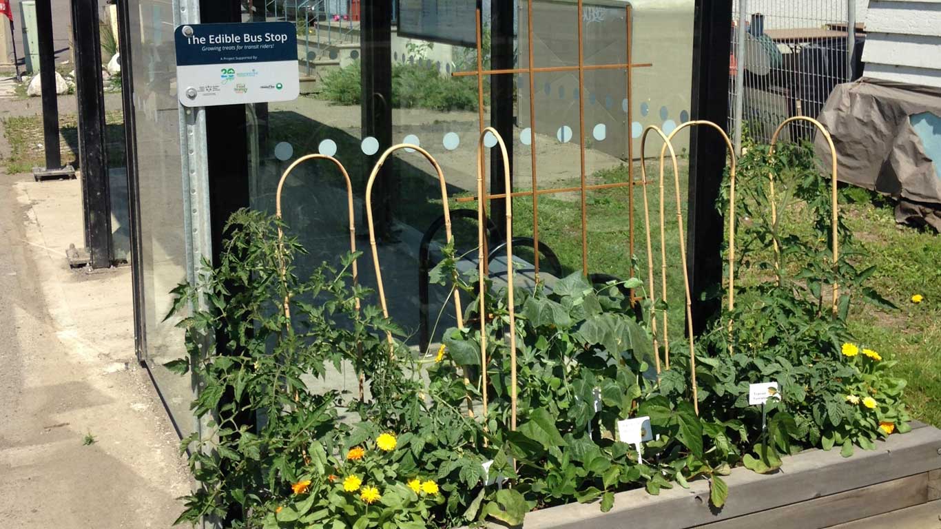 EcoSuperior's "Edible Bus Stop" on Red River Road 